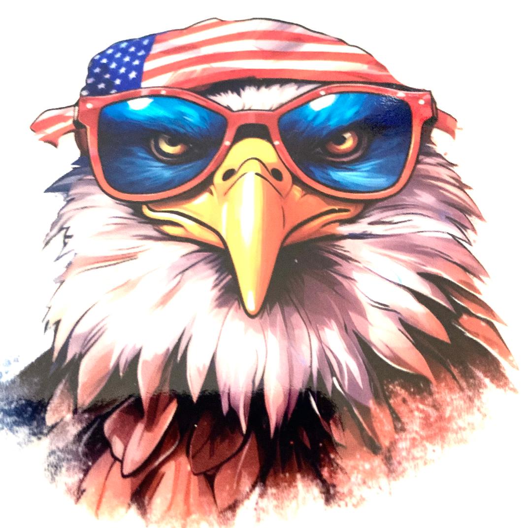 USA Eagle Cup Wrap